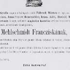 1873 Mehlschmidt Franciska